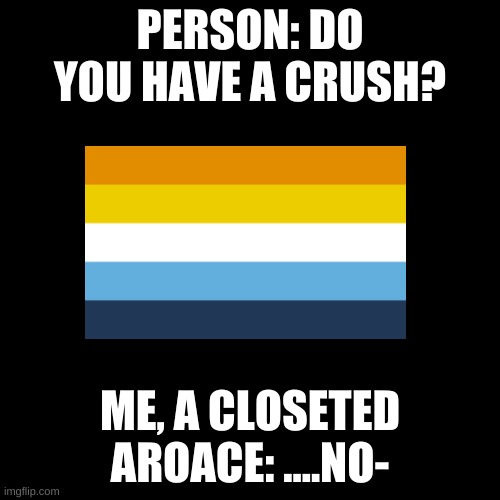 .... | PERSON: DO YOU HAVE A CRUSH? ME, A CLOSETED AROACE: ....NO- | image tagged in memes,blank transparent square | made w/ Imgflip meme maker