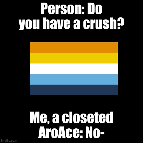 .... | Person: Do you have a crush? Me, a closeted AroAce: No- | image tagged in memes,blank transparent square,lgbtq | made w/ Imgflip meme maker