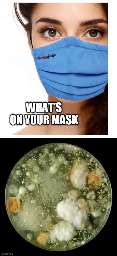 WHAT'S ON YOUR MASK | image tagged in germs | made w/ Imgflip meme maker