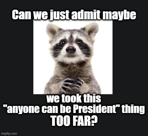 If not now later for sure! | Can we just admit maybe; we took this; "anyone can be President" thing; TOO FAR? | image tagged in politics,restore the republic,dark to light,trump 2021 | made w/ Imgflip meme maker