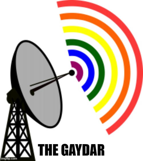 THE GAYDAR | made w/ Imgflip meme maker