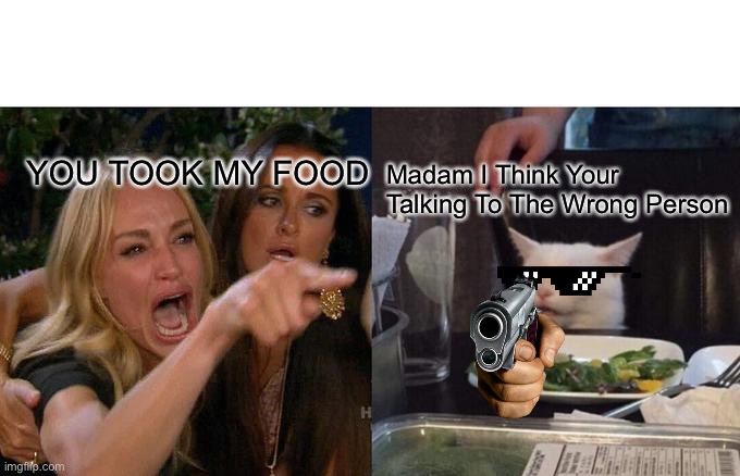 Ah Yes | YOU TOOK MY FOOD; Madam I Think Your Talking To The Wrong Person | image tagged in memes,woman yelling at cat | made w/ Imgflip meme maker