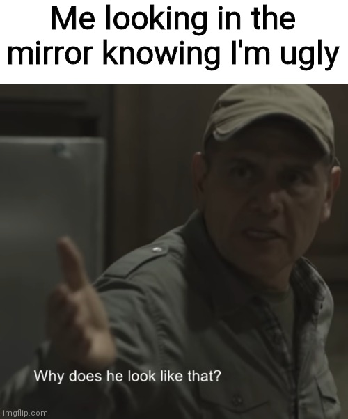 Why does he look like that? | Me looking in the mirror knowing I'm ugly | image tagged in why does he look like that | made w/ Imgflip meme maker