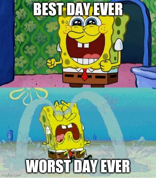 spongebob happy and sad | BEST DAY EVER; WORST DAY EVER | image tagged in spongebob happy and sad | made w/ Imgflip meme maker