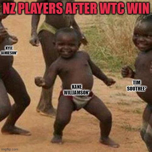 wtc final | NZ PLAYERS AFTER WTC WIN; KYLE JAMIESON*; TIM SOUTHEE*; KANE WILLIAMSON* | image tagged in memes,third world success kid | made w/ Imgflip meme maker