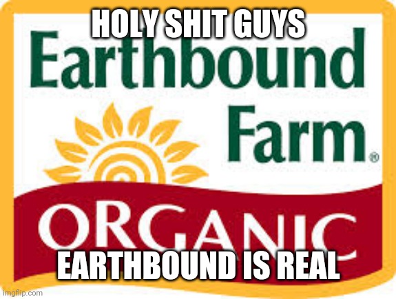 E | HOLY SHIT GUYS; EARTHBOUND IS REAL | image tagged in earthbound farm | made w/ Imgflip meme maker