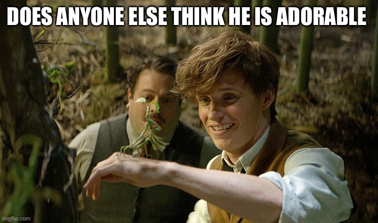 Newt Scamander approved | DOES ANYONE ELSE THINK HE IS ADORABLE | image tagged in newt scamander approved | made w/ Imgflip meme maker