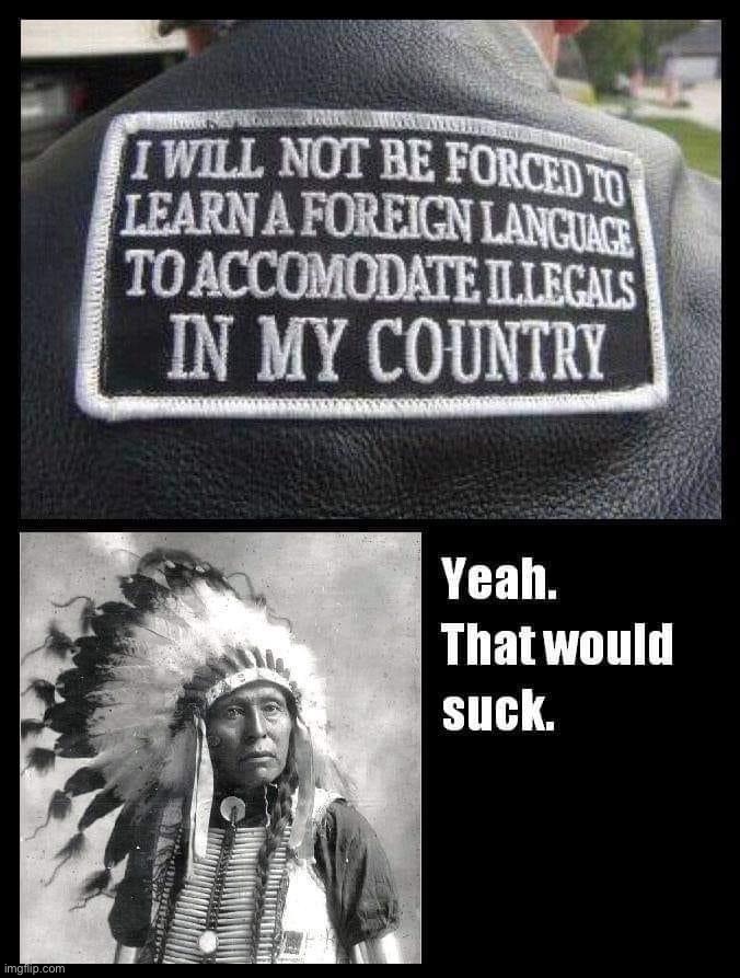 You don’t say | image tagged in native vs illegal immigration,repost,illegal immigration,illegal aliens,illegals,native americans | made w/ Imgflip meme maker