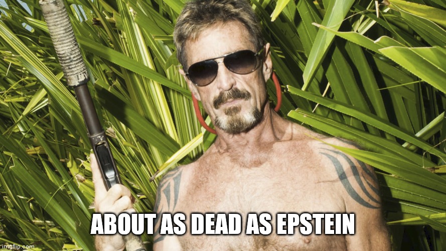 Someone say Epstein Didn't Kill Himself? |  ABOUT AS DEAD AS EPSTEIN | image tagged in john mcafee didn't kill himself,jeffrey epstein,suicide,witnesses,the great awakening,payback | made w/ Imgflip meme maker