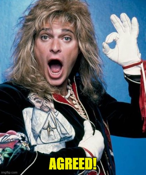 David Lee Roth | AGREED! | image tagged in david lee roth | made w/ Imgflip meme maker