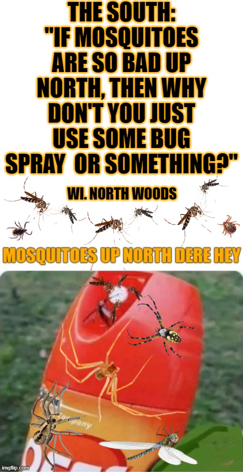 WI. NORTH WOODS | THE SOUTH:
"IF MOSQUITOES ARE SO BAD UP NORTH, THEN WHY DON'T YOU JUST USE SOME BUG SPRAY  OR SOMETHING?"; WI. NORTH WOODS | image tagged in memes,blank transparent square,wi north woods,wisconsin,wisfuckingconsin | made w/ Imgflip meme maker