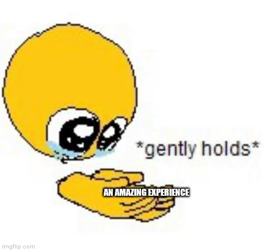 Gently holds emoji | AN AMAZING EXPERIENCE | image tagged in gently holds emoji | made w/ Imgflip meme maker