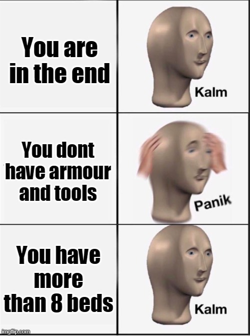 Reverse kalm panik | You are in the end; You dont have armour and tools; You have more than 8 beds | image tagged in reverse kalm panik | made w/ Imgflip meme maker