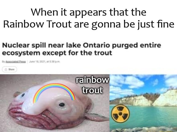 When it appears that the Rainbow Trout are gonna be just fine; rainbow trout | image tagged in trout | made w/ Imgflip meme maker