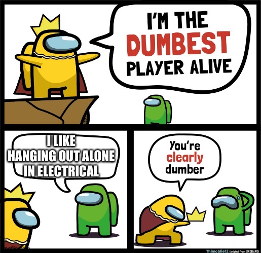 Among Us dumbest player | I LIKE HANGING OUT ALONE IN ELECTRICAL | image tagged in among us dumbest player | made w/ Imgflip meme maker