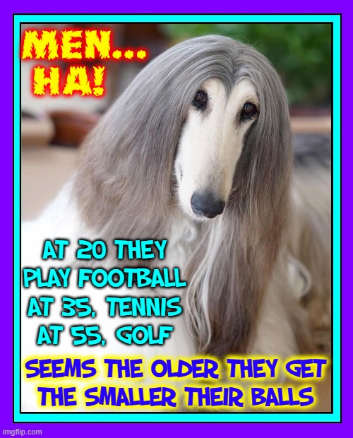 Gracy the Dog Does Stand-Up Sitting Down |  MEN... HA! AT 20 THEY PLAY FOOTBALL
AT 35, TENNIS
AT 55, GOLF; SEEMS THE OLDER THEY GET
THE SMALLER THEIR BALLS | image tagged in vince vance,dogs,afgan hound,men,balls,memes | made w/ Imgflip meme maker
