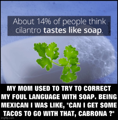 image tagged in cilantro,soap,mexicans,tacos,foul language,moms | made w/ Imgflip meme maker