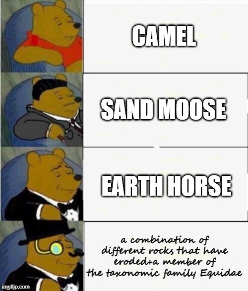 Tuxedo Winnie the Pooh 4 panel | CAMEL SAND MOOSE EARTH HORSE a combination of different rocks that have eroded+a member of the taxonomic family Equidae | image tagged in tuxedo winnie the pooh 4 panel | made w/ Imgflip meme maker