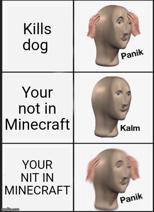 Minecraft | Kills dog; Your not in Minecraft; YOUR NIT IN MINECRAFT | image tagged in memes,panik kalm panik | made w/ Imgflip meme maker