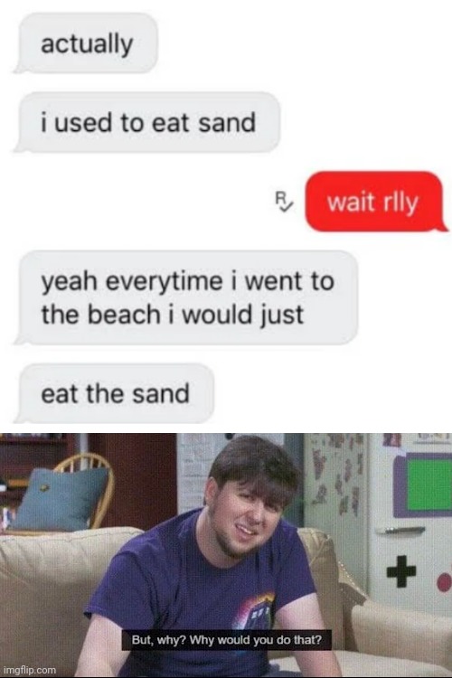 Why, just why? | image tagged in but why why would you do that,funny,memes,sand,what | made w/ Imgflip meme maker