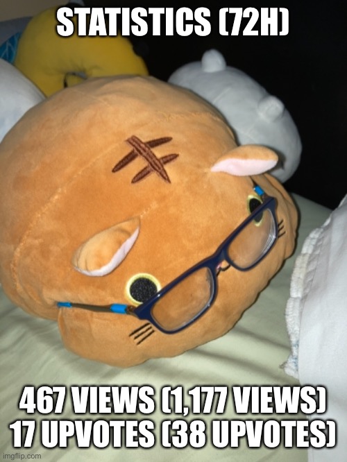 Statistics Cat 72 Hours | STATISTICS (72H); 467 VIEWS (1,177 VIEWS) 17 UPVOTES (38 UPVOTES) | image tagged in meow | made w/ Imgflip meme maker