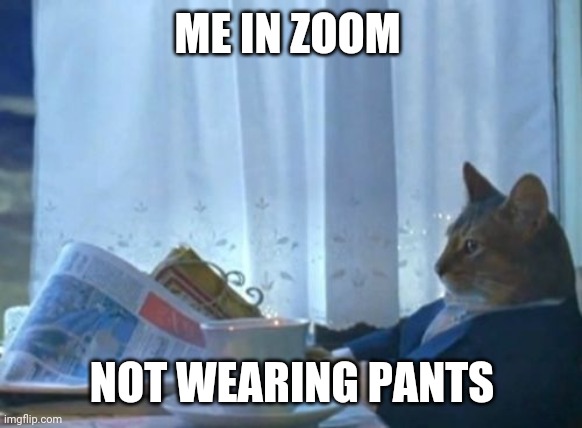 I Should Buy A Boat Cat | ME IN ZOOM; NOT WEARING PANTS | image tagged in memes,i should buy a boat cat | made w/ Imgflip meme maker