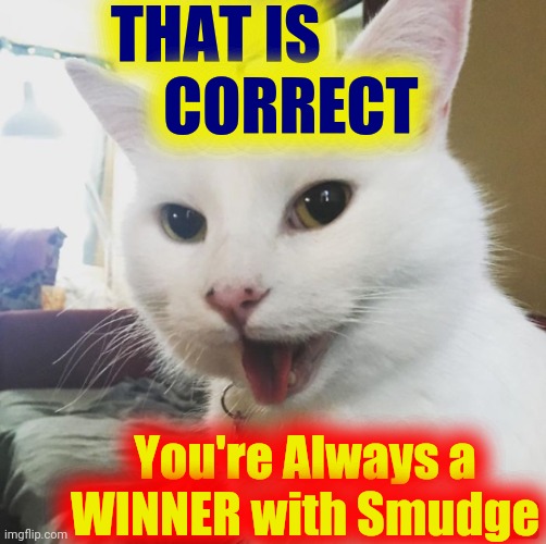 Smudge | THAT IS
            CORRECT You're Always a
WINNER with Smudge | image tagged in smudge | made w/ Imgflip meme maker