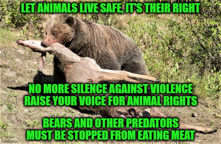 Meat is Murder | LET ANIMALS LIVE SAFE, IT'S THEIR RIGHT; NO MORE SILENCE AGAINST VIOLENCE
RAISE YOUR VOICE FOR ANIMAL RIGHTS; BEARS AND OTHER PREDATORS
MUST BE STOPPED FROM EATING MEAT | image tagged in animal rights | made w/ Imgflip meme maker
