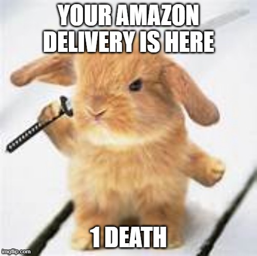 Yes I ordered you your bunny... AAAAA- | image tagged in bunny,amazon | made w/ Imgflip meme maker