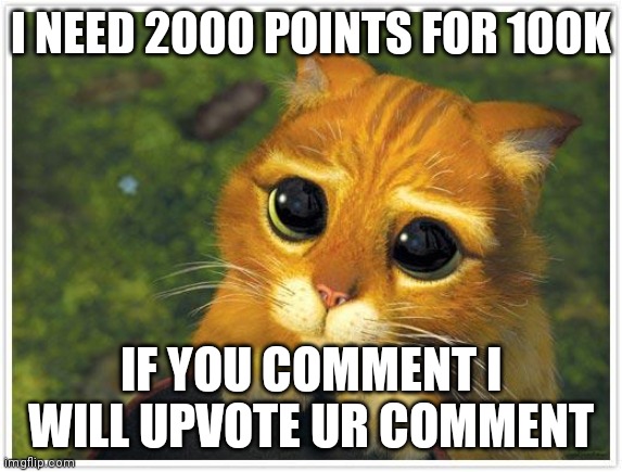 Please | I NEED 2000 POINTS FOR 100K; IF YOU COMMENT I WILL UPVOTE UR COMMENT | image tagged in memes,shrek cat | made w/ Imgflip meme maker