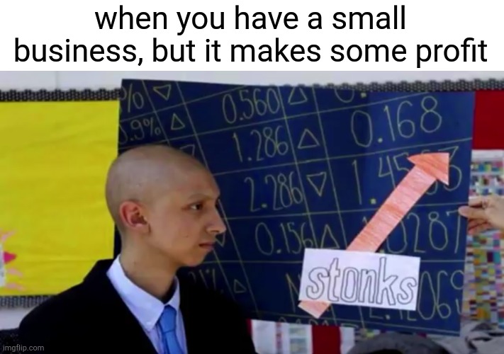 when you have a small business, but it makes some profit | image tagged in stonks,meme man | made w/ Imgflip meme maker