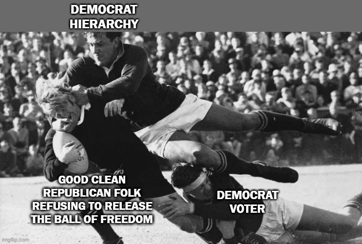 Democrat Thugs | DEMOCRAT  HIERARCHY; GOOD CLEAN REPUBLICAN FOLK
REFUSING TO RELEASE THE BALL OF FREEDOM; DEMOCRAT  VOTER | image tagged in democrat,thug | made w/ Imgflip meme maker
