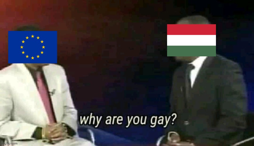 I also wonder why you're so GAE and GEH and GAY | image tagged in why are you gay,hungary,european union,lgbt,pride,memes | made w/ Imgflip meme maker