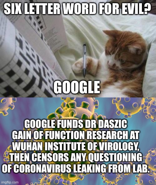 Google can go suck rocks. Google is now evil beyond a doubt. | SIX LETTER WORD FOR EVIL? GOOGLE; GOOGLE FUNDS DR DASZIC GAIN OF FUNCTION RESEARCH AT WUHAN INSTITUTE OF VIROLOGY, THEN CENSORS ANY QUESTIONING OF CORONAVIRUS LEAKING FROM LAB. | image tagged in cat crossword,coronavirus,google,evil,covid,gain of function | made w/ Imgflip meme maker