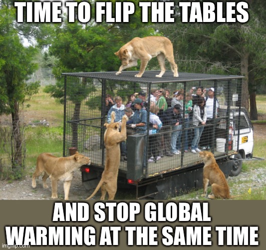 Kitty cat lunch box | TIME TO FLIP THE TABLES AND STOP GLOBAL WARMING AT THE SAME TIME | image tagged in kitty cat lunch box | made w/ Imgflip meme maker