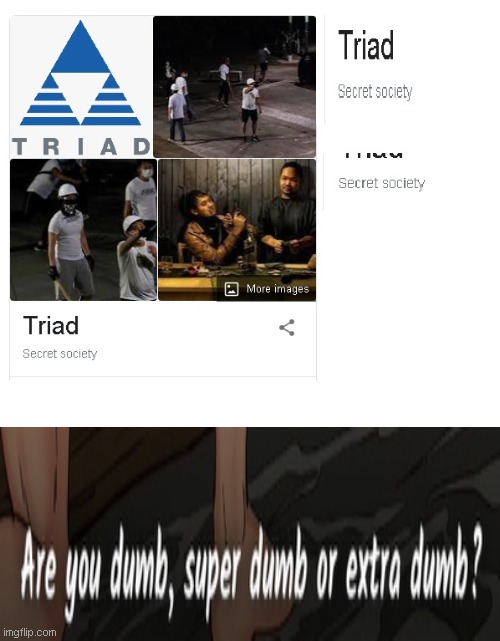 triads are a big secret | image tagged in funny | made w/ Imgflip meme maker