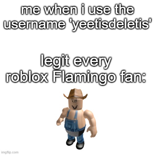 if this happens again i will deletis | me when i use the username 'yeetisdeletis'; legit every roblox Flamingo fan: | image tagged in memes,blank transparent square | made w/ Imgflip meme maker