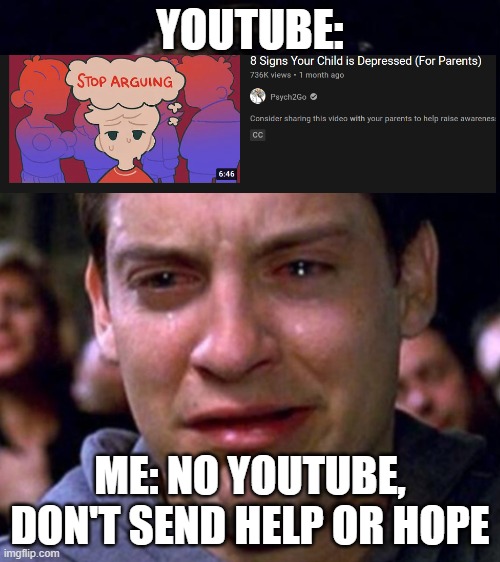 I was watching youtube and this happened | YOUTUBE:; ME: NO YOUTUBE, DON'T SEND HELP OR HOPE | image tagged in spiderman crying | made w/ Imgflip meme maker