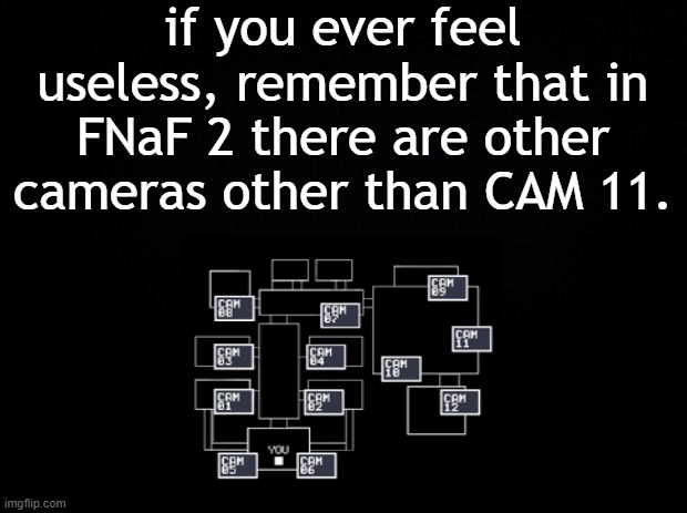 nobody watches them except for the 1st night | if you ever feel useless, remember that in FNaF 2 there are other cameras other than CAM 11. | image tagged in black background,fnaf 2 | made w/ Imgflip meme maker