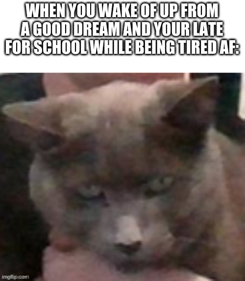 WHEN YOU WAKE OF UP FROM A GOOD DREAM AND YOUR LATE FOR SCHOOL WHILE BEING TIRED AF: | made w/ Imgflip meme maker