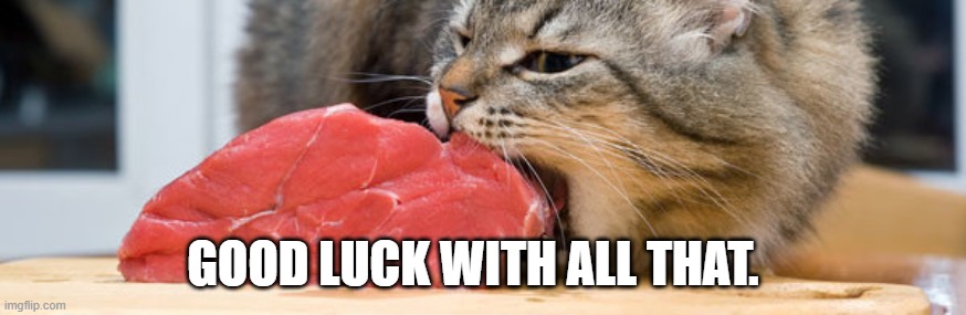 cat eating meat | GOOD LUCK WITH ALL THAT. | image tagged in cat eating meat | made w/ Imgflip meme maker