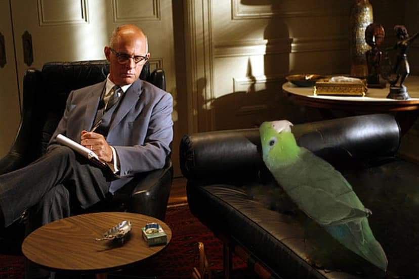Parrot in Psychotherapy Blank Meme Template