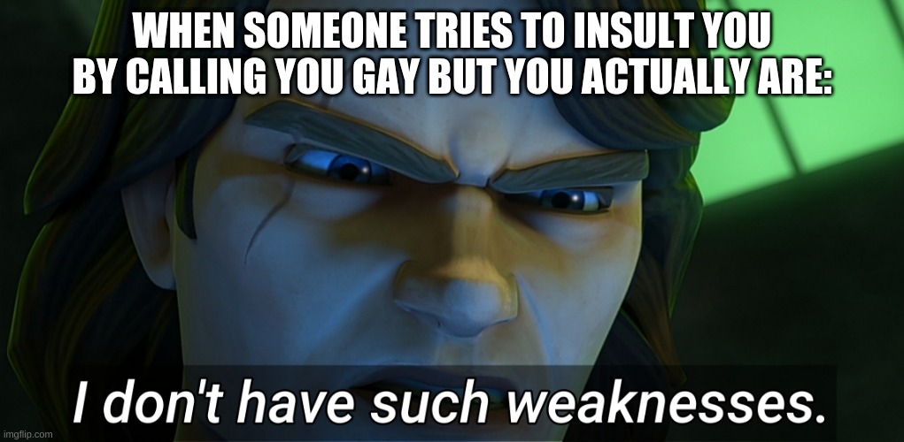 Happy pride <3 |  WHEN SOMEONE TRIES TO INSULT YOU BY CALLING YOU GAY BUT YOU ACTUALLY ARE: | image tagged in i don't have such weaknesses anakin,gay,love is love,in your face,pride month | made w/ Imgflip meme maker