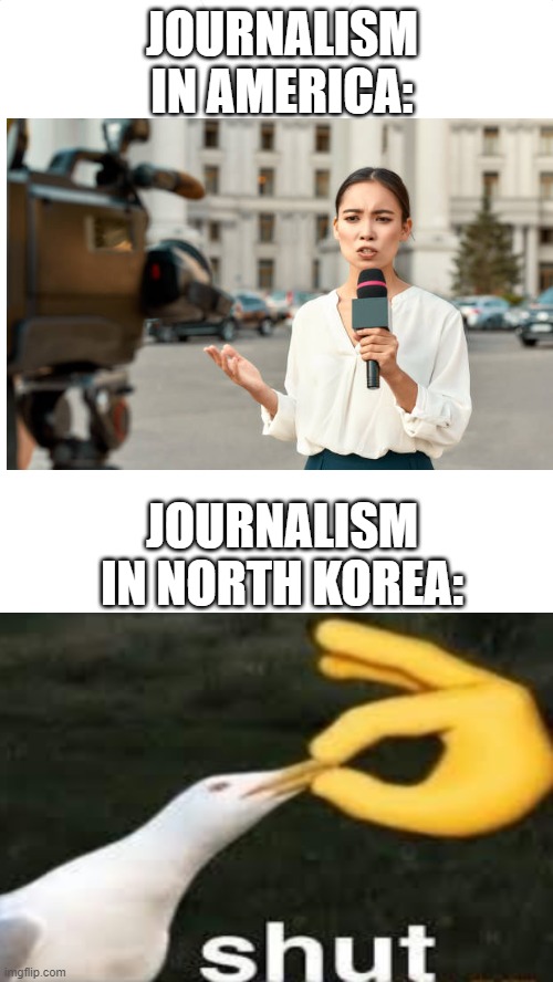 It really sucks though :( | JOURNALISM IN AMERICA:; JOURNALISM IN NORTH KOREA: | image tagged in white blank template,journalism,quiet | made w/ Imgflip meme maker