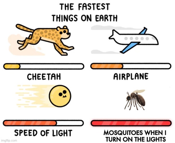 the fastest things on earth | 🦟; MOSQUITOES WHEN I 
TURN ON THE LIGHTS | image tagged in the fastest things on earth,meme | made w/ Imgflip meme maker