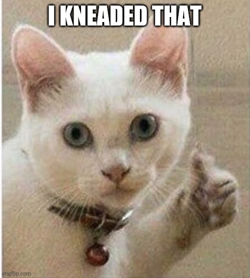 Cat thumbs up | I KNEADED THAT | image tagged in cat thumbs up | made w/ Imgflip meme maker