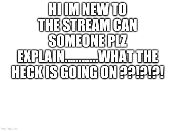 so how does this stream work? | HI IM NEW TO THE STREAM CAN SOMEONE PLZ EXPLAIN............WHAT THE HECK IS GOING ON ??!?!?! | image tagged in blank white template | made w/ Imgflip meme maker