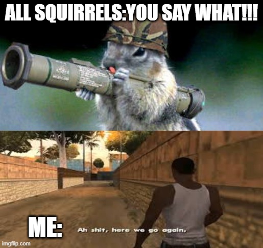When I talk to a friends and I say squirrels is a cheaters behind a tree with a squirrel | ALL SQUIRRELS:YOU SAY WHAT!!! ME: | image tagged in memes,bazooka squirrel | made w/ Imgflip meme maker
