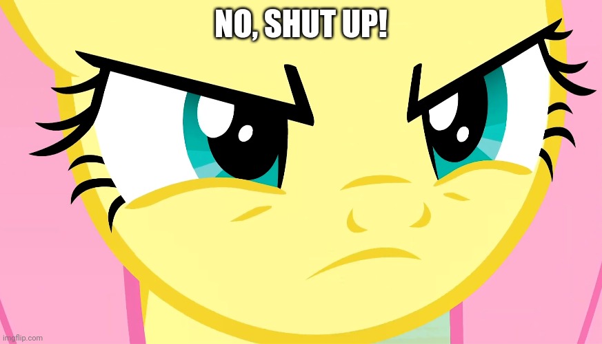 NO, SHUT UP! | made w/ Imgflip meme maker