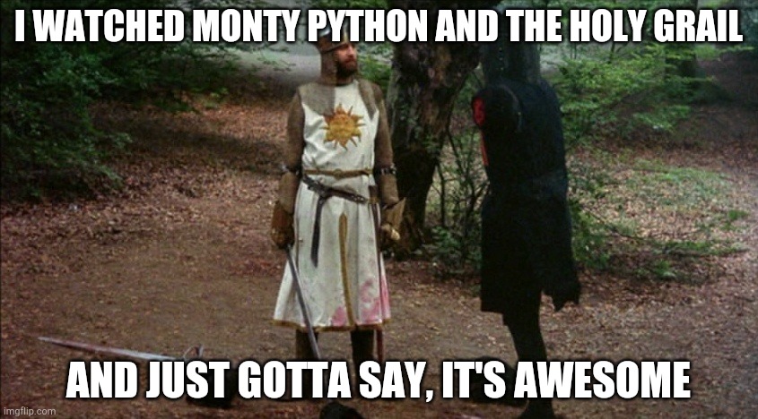 E | I WATCHED MONTY PYTHON AND THE HOLY GRAIL; AND JUST GOTTA SAY, IT'S AWESOME | image tagged in tis but a scratch,monty python and the holy grail | made w/ Imgflip meme maker